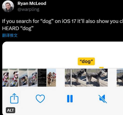 石屏apple维修店分享通过关键字搜索iPhone视频内声音 